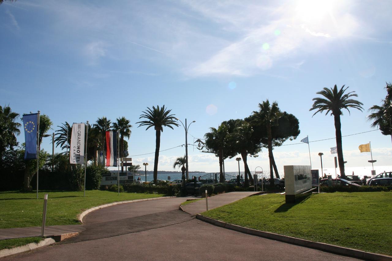 Le Dauphin Studio 1182